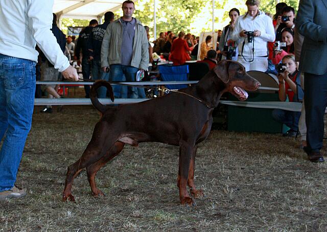 Kublaikhan v_ Nemesis 8.JPG